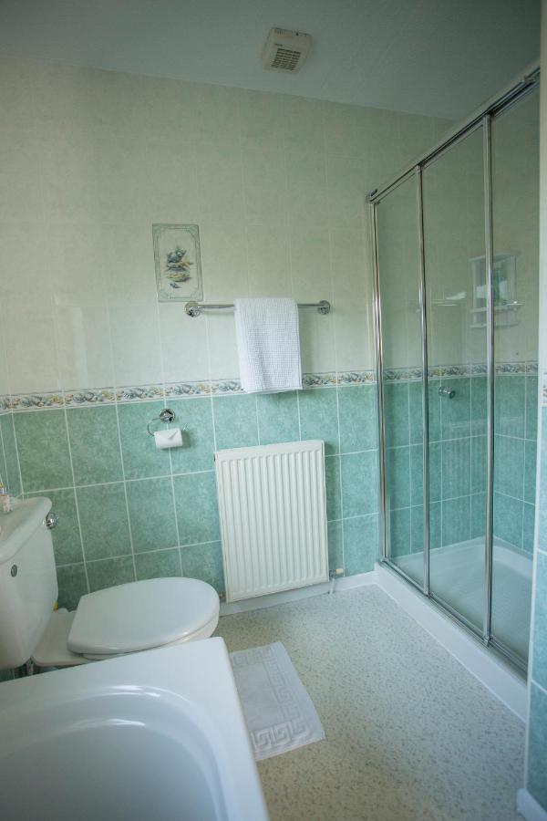 Pant-Y-Celyn Studio Apartment Aberaeron Zewnętrze zdjęcie